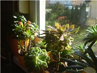 8759ae10-Picture 6777.jpg